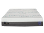 Oasis 12" (P/C) Mattress